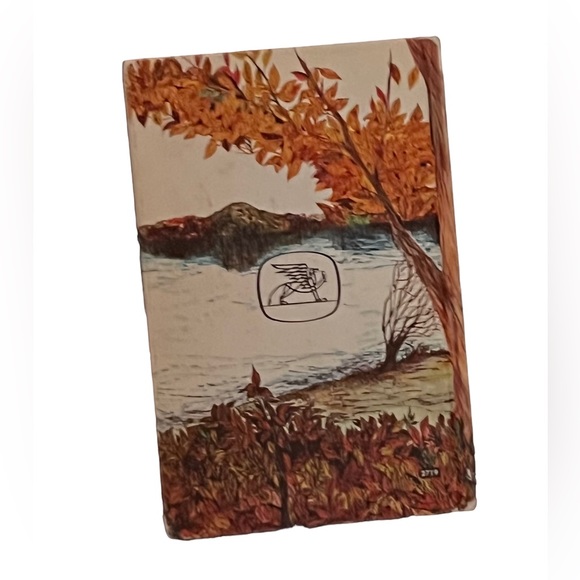 Huckleberry Finn Classic Book - Picture 3 of 4